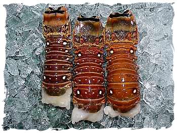 Lobster Tails 3 oz.