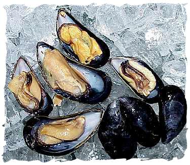 Frozen Half Shell Mussels