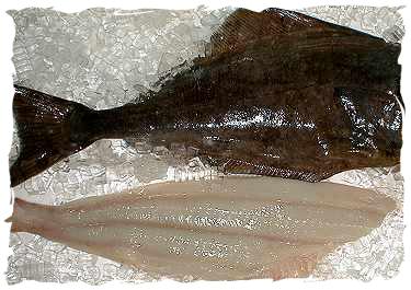 Fresh Halibut