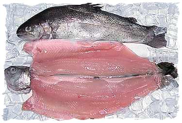 Fresh Rainbow Trout