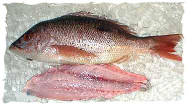 Fresh Red Snapper