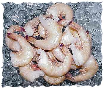 1 lb. Jumbo Shrimp! (U-15 ct)